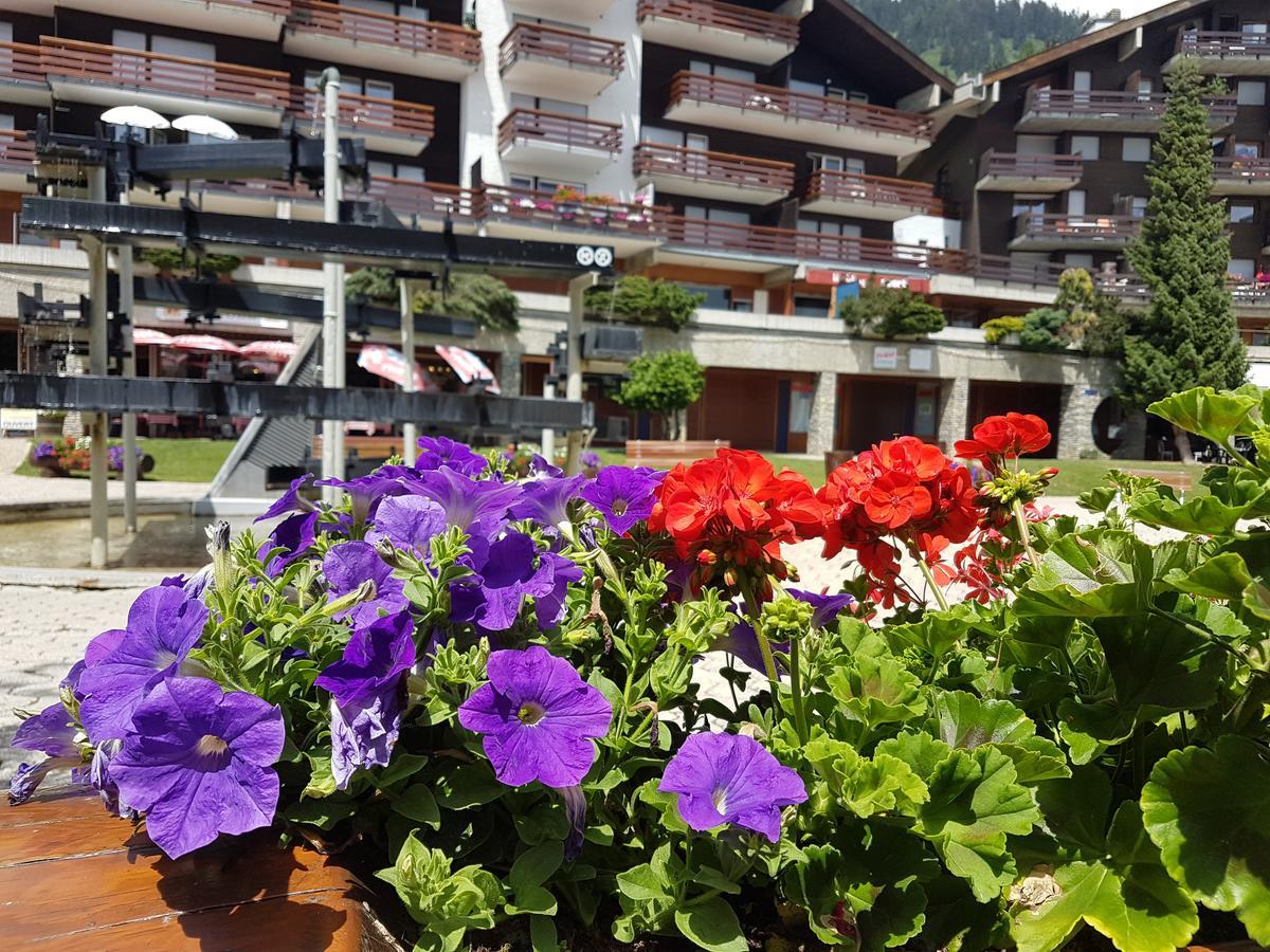 Holidays Groupes Anzère Exterior foto